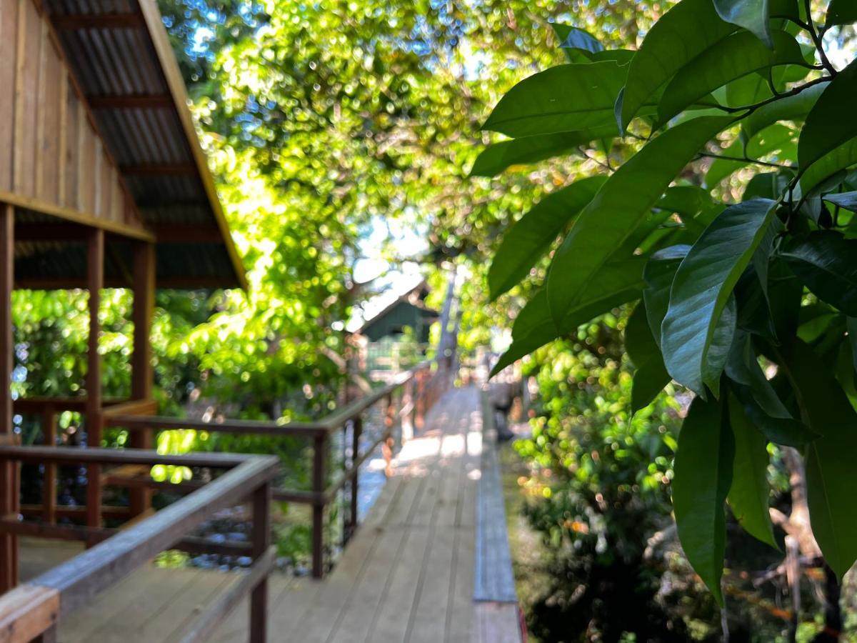 Amazonia Lodge Exxperience Paricatuba Kültér fotó